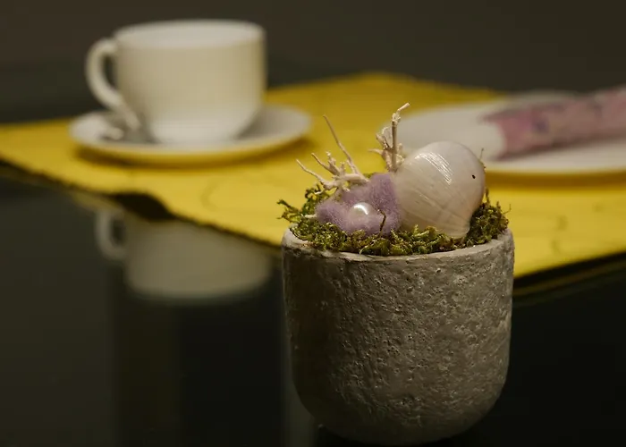 Apartment Haltern Appartement Haltern